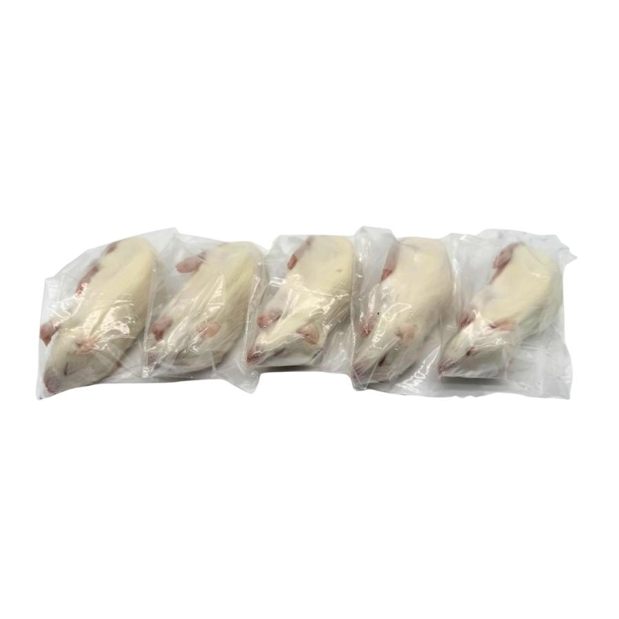 冷凍 アダルト ラット SS (40g ~ 50g × 5匹セット） 餌 爬虫類 猛禽類