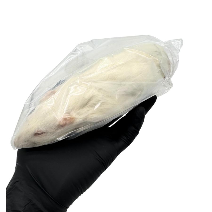 冷凍 アダルト ラット XL (300g ~ 400g × 5匹セット） 餌 爬虫類 猛禽類 両生類 : ウォーターソリューション - 通販 ...