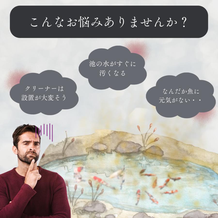 タカラ工業 ウォータークリーナー 池 ろ過装置 憩 R タカラ TW タカラ工業 ウォータークリーナー 池 ろ過装置 憩 R タカラ TW
