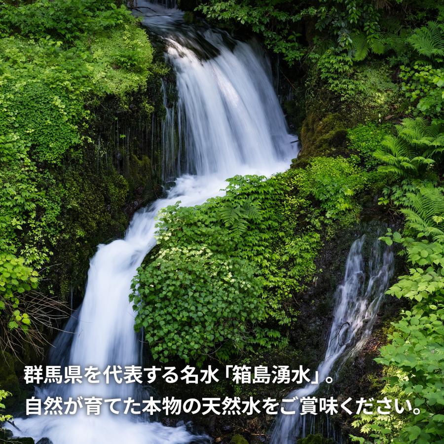 ウォーターサーバー用 天然水】箱島湧水エア ハードPETボトル ウォーターサーバー用 天然水】箱島湧水エア ハードPETボトル