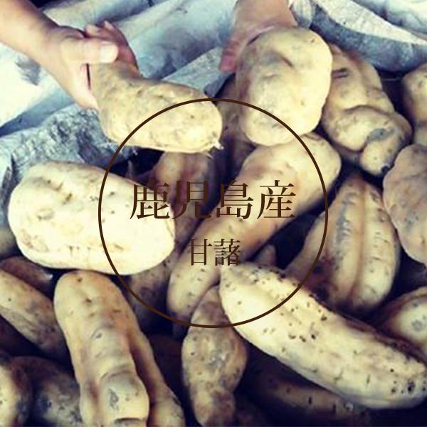 本格芋焼酎　はやてふじ　疾富士　黒瀬安光監修　山梨富士天然水を使用し、本場鹿児島にて仕込み　逸品　箱付き |  | 01