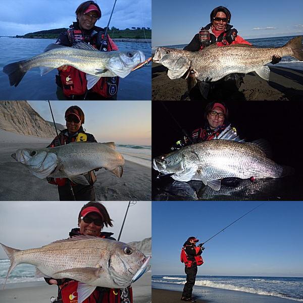 Abu Garcia アブガルシア エラディケーター ゼノモーフ ビッグ Abu Garcia アブガルシア エラディケーター ゼノモーフ ビッグ