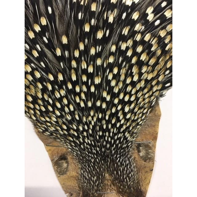 ジャングルコックネックケープ