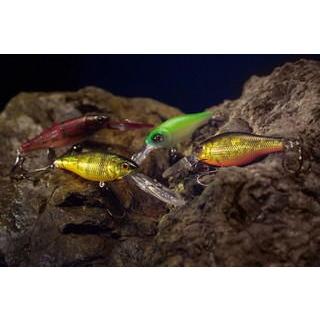 Megabass（メガバス） MEGABASS DEEP X 100 ディープX100 : ウォーター