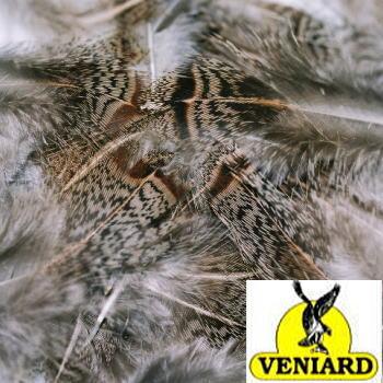 CAPS  ベニヤード パートリッジブラウンバックフェザー | キャップス