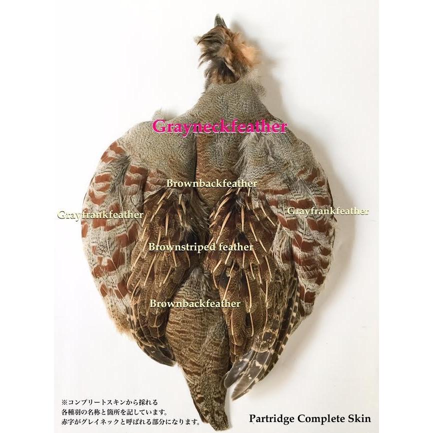CAPS ベニヤード パートリッジグレーネックフェザー | キャップス | 01