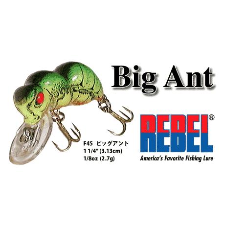 REBEL BIG ANT レーベルビッグアント : ウォーターハウス - 通販