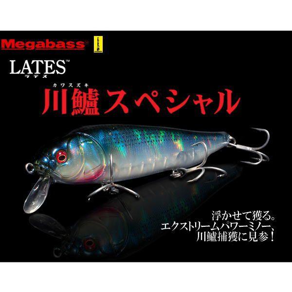 Megabass　Lates メガバス ラテス　川鱸　カワスズキスペシャル Megabass（メガバス） （シーバス）メガバス MEGABASS LATES ラテス 川