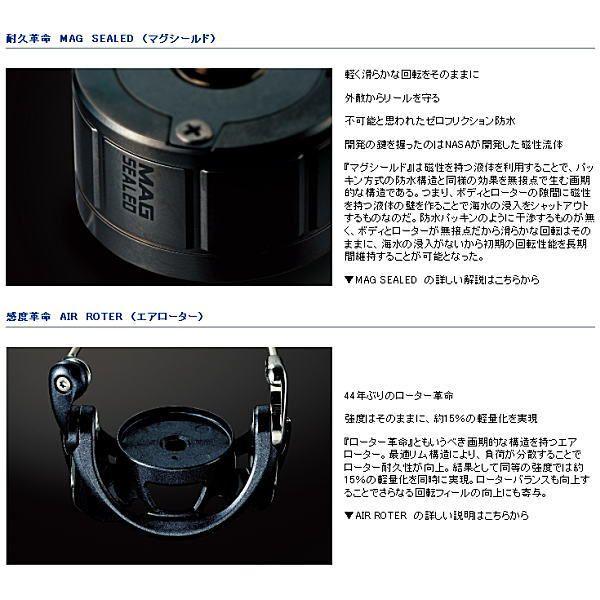 DAIWA（ダイワ） セルテート CERTATE 2004CH ハイギヤカスタム