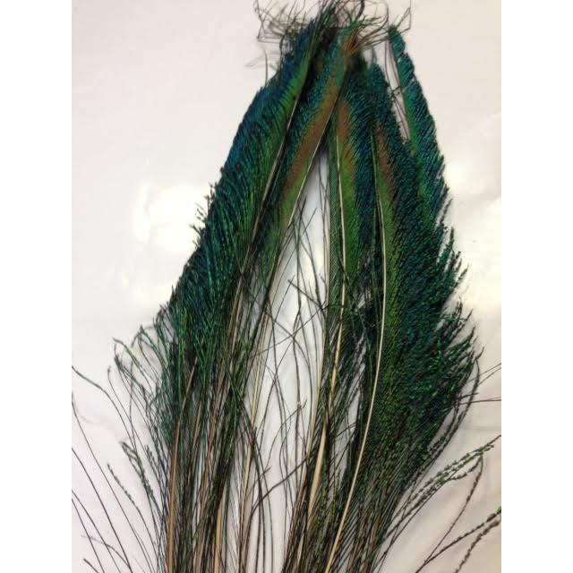 ピーコックソード 6pairパック : ウォーターハウス - 通販 - Yahoo