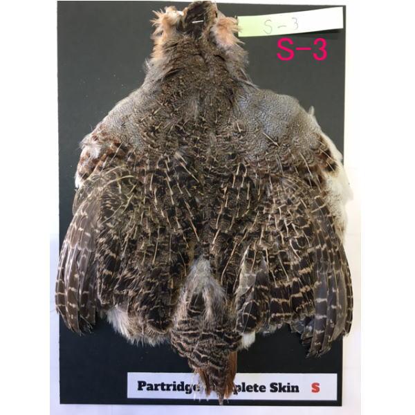 パートリッジ コンプリートスキン #S : ウォーターハウス - 通販