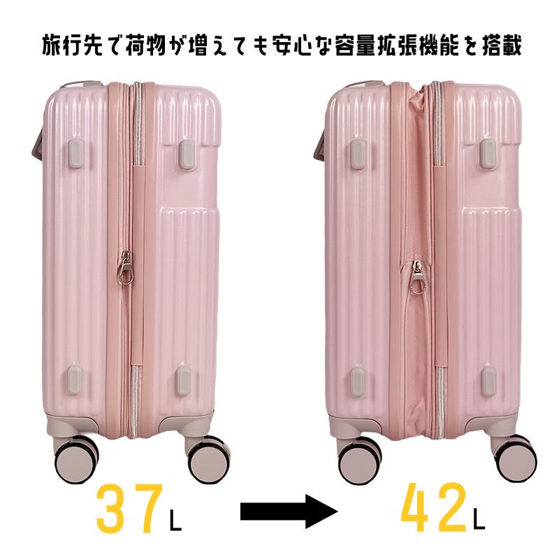 Lee（リー） ミニオンズ スーツケース キャリーケース 37L 42L 3kg 2泊