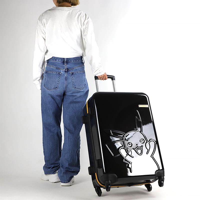 新品　未開封　ポケモン　プラコロ　41個セット　波乗りピカチュウ　図鑑ケース② 新品 未開封 ポケモン プラコロ 41個セット 波乗りピカチュウ 図鑑