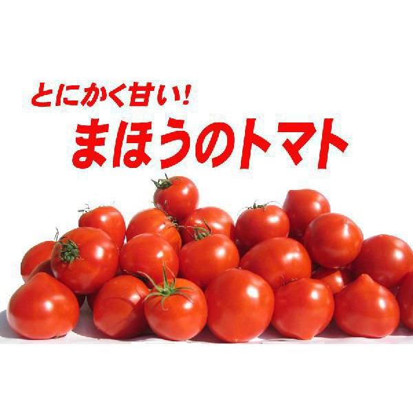 【会員限定】まほうのトマト化粧箱｜watom｜03