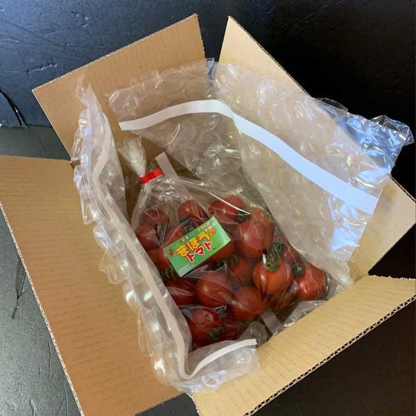 【会員限定】まほうのトマト1Kg箱｜watom｜02