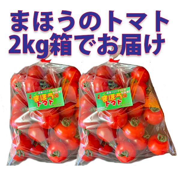 【会員限定】トマトの定期便（5ヶ月コース）｜watom｜03