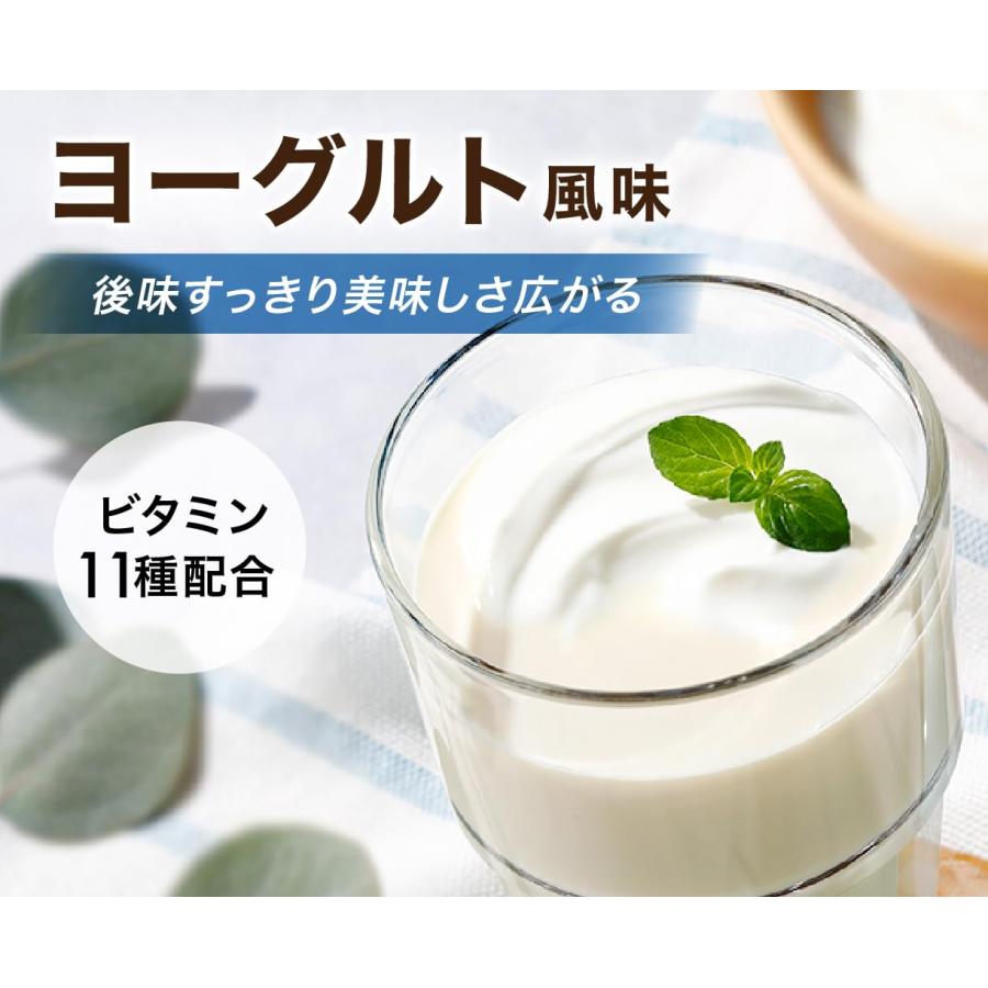 アンビーク オールインワン プロテイン ホエイ ヨーグルト風味
