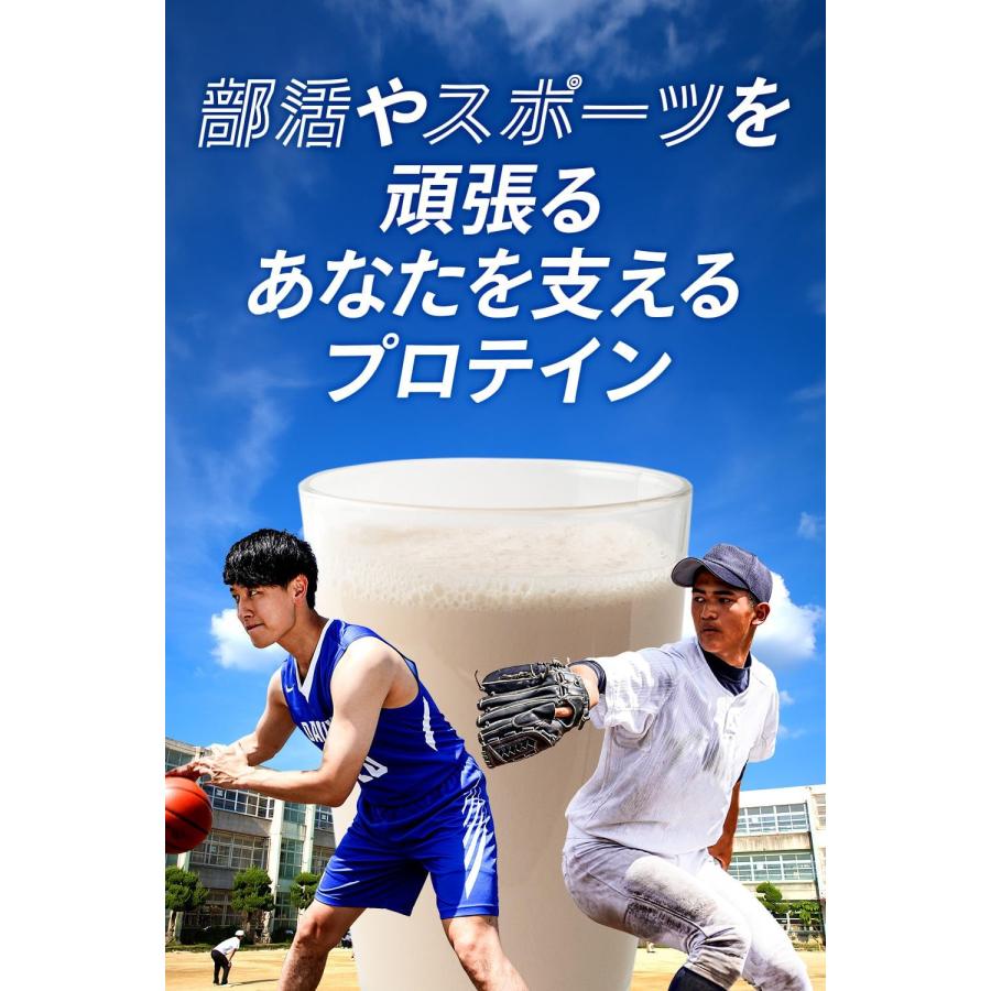 ビーレジェンド beLEGEND プロテイン 3kg チョコ風味 チョコレート