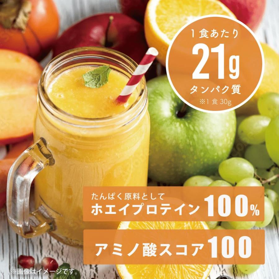 Verifyst ベリフィスト 3kg ホエイ プロテイン 100 ミックスフルーツ