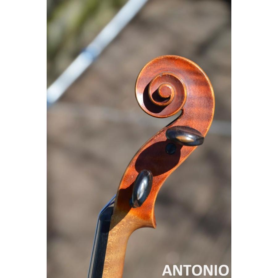 "Fait a Mirecourt, N°108, par le Maitre-Luthier Amedee DIEUDONNE en 1929" |  | 11
