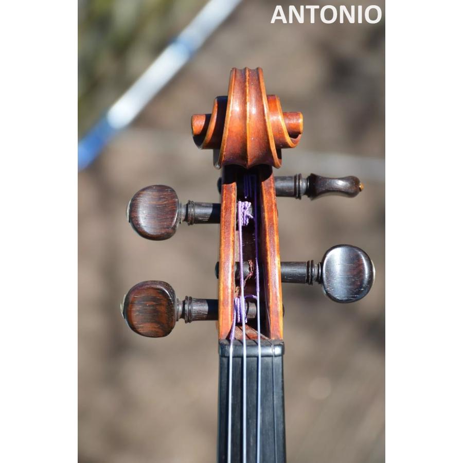 "Fait a Mirecourt, N°108, par le Maitre-Luthier Amedee DIEUDONNE en 1929" |  | 12