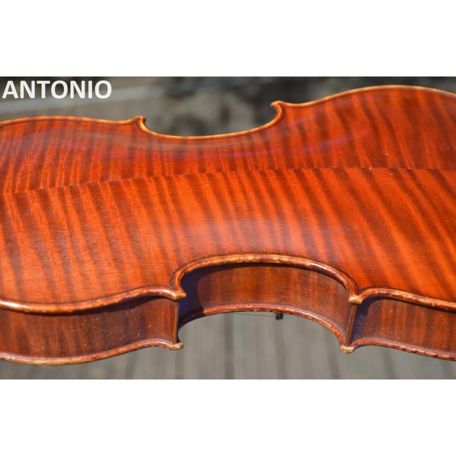 "Fait a Mirecourt, N°108, par le Maitre-Luthier Amedee DIEUDONNE en 1929" |  | 06
