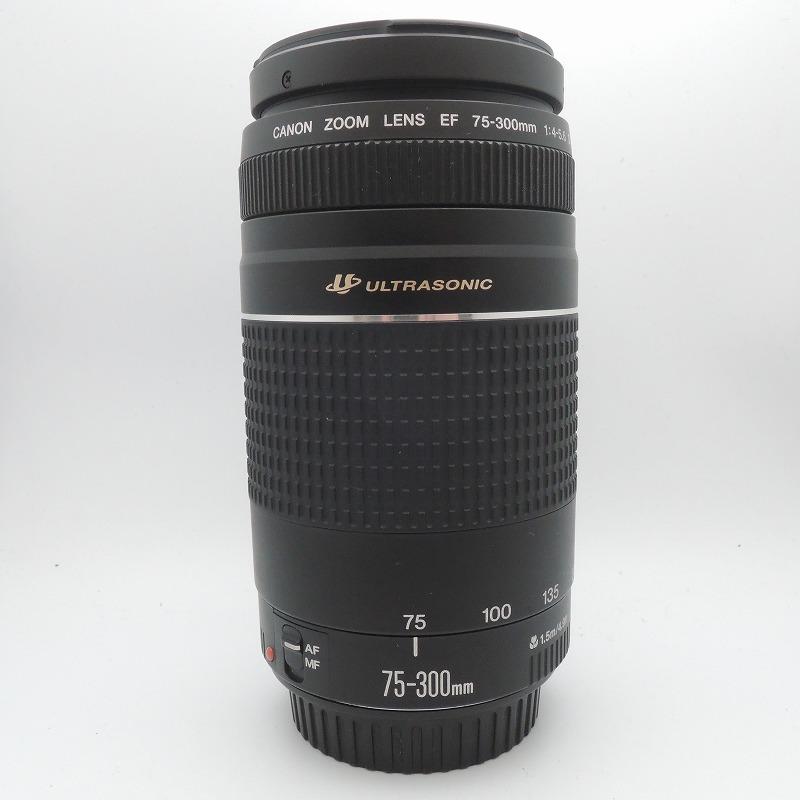 キャノン Canon レンズ EF 75-300mm f4-5.6 III USM : ワットマン