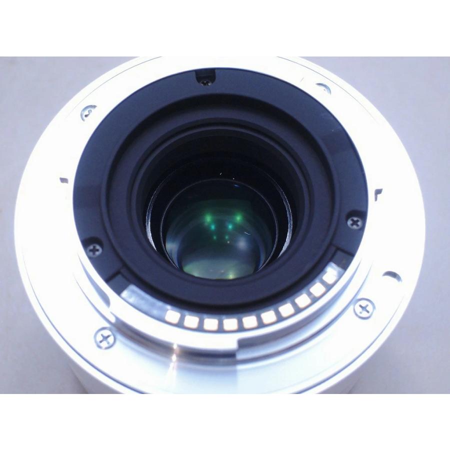 シグマ SIGMA Eマウント レンズ APS-C 19mm f2.8 DN : ワットマン