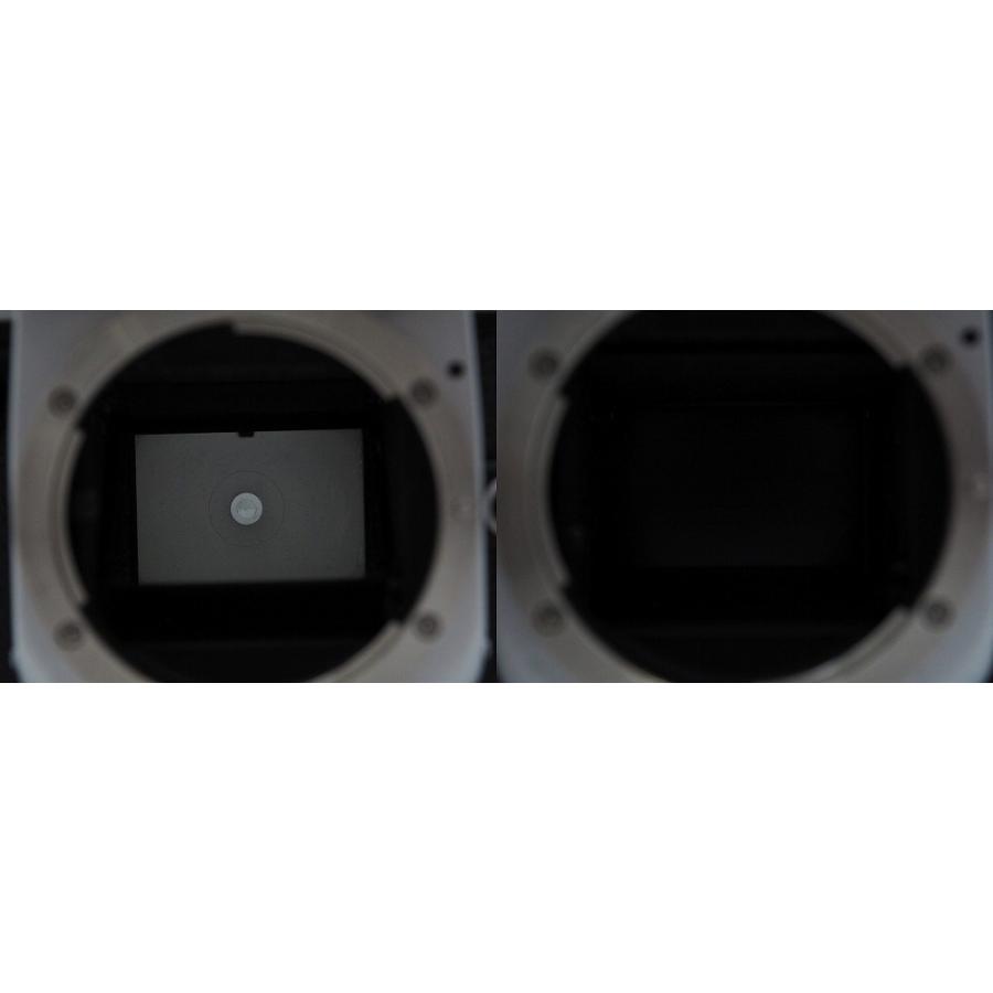 ニコン Nikon フィルム一眼レフカメラ F2 フォトミック Aの画像