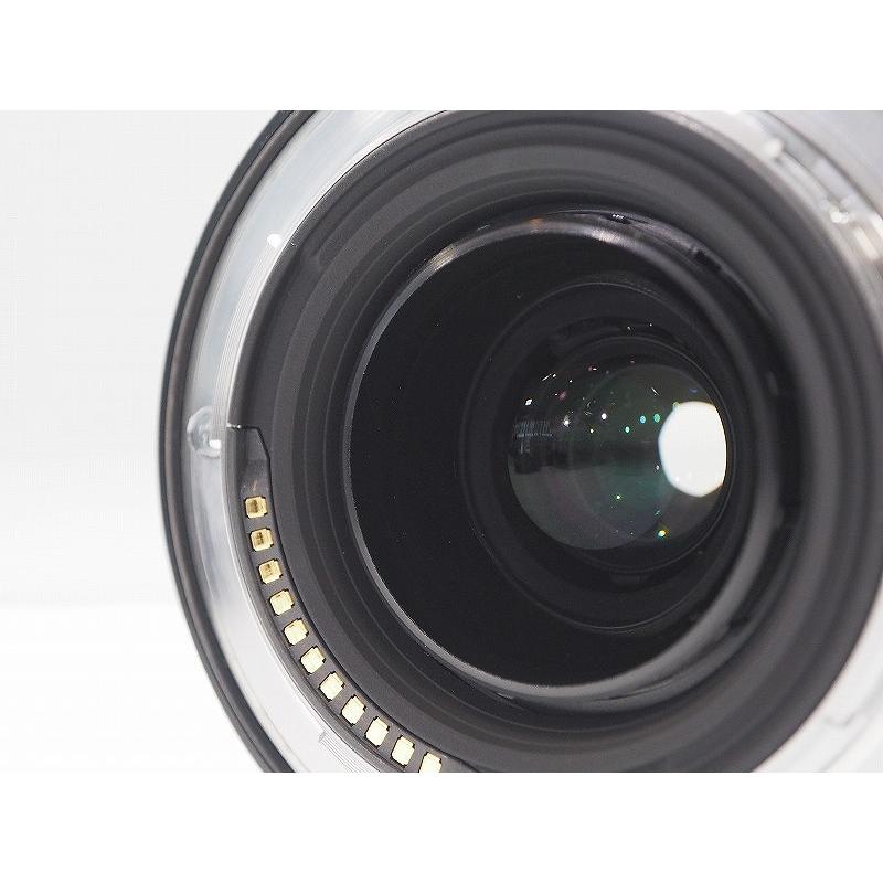 ニコン Nikon 標準ズームレンズ NIKKOR Z 24-70mm f/4 S : ワットマン