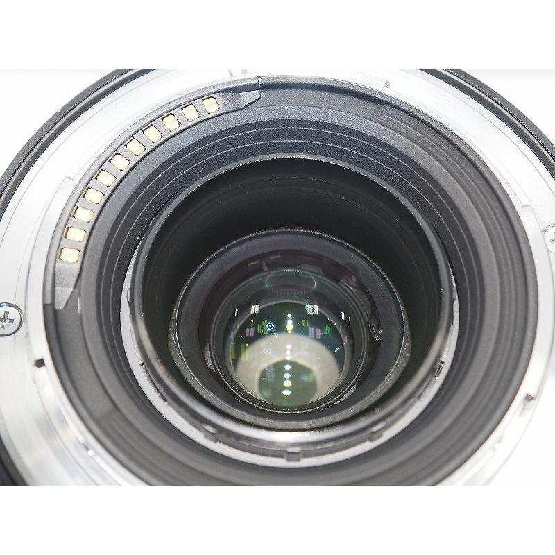ニコン Nikon 標準ズームレンズ NIKKOR Z 24-70mm f/4 S : ワットマン