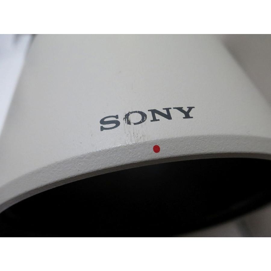 ソニー SONY Eマウント用ズームレンズ FE 200-600mm F5.6-6.3 G OSS