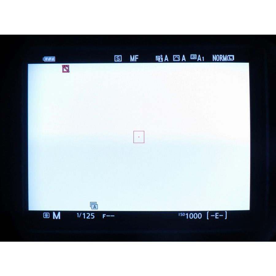 ニコン Nikon ミラーレス一眼 Z 50の画像