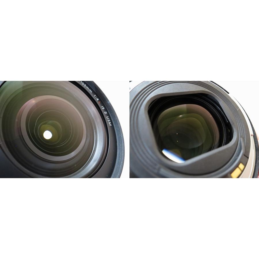 キヤノン Canon デジタル一眼レフ（レンズキット） EOS 5D Mark IVの画像