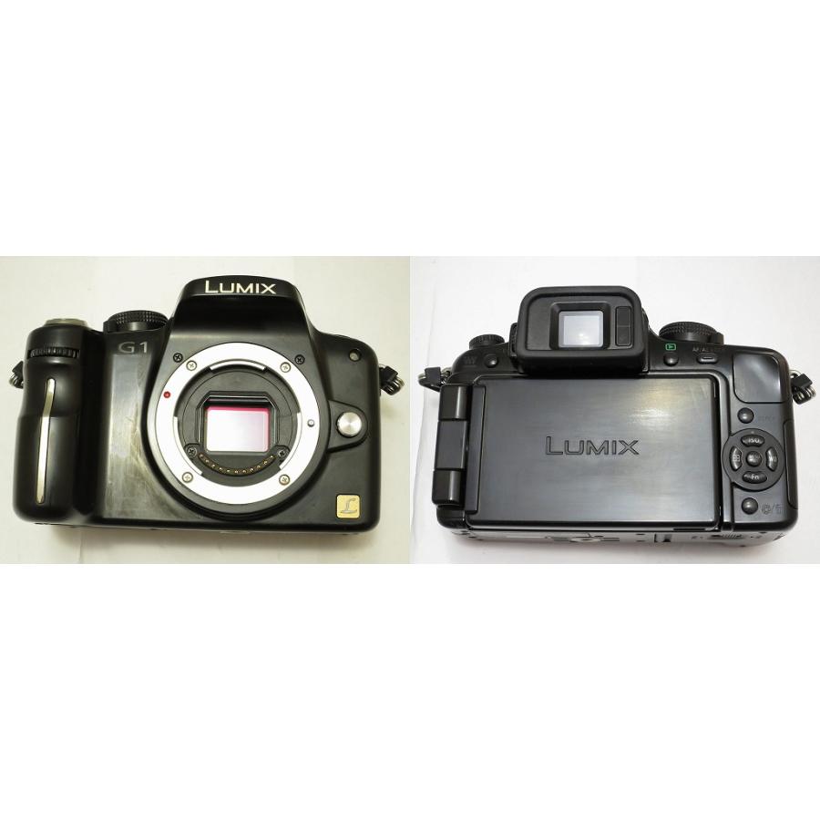 パナソニック Panasonic ミラーレス一眼 LUMIX DMC-G1 : ワットマン