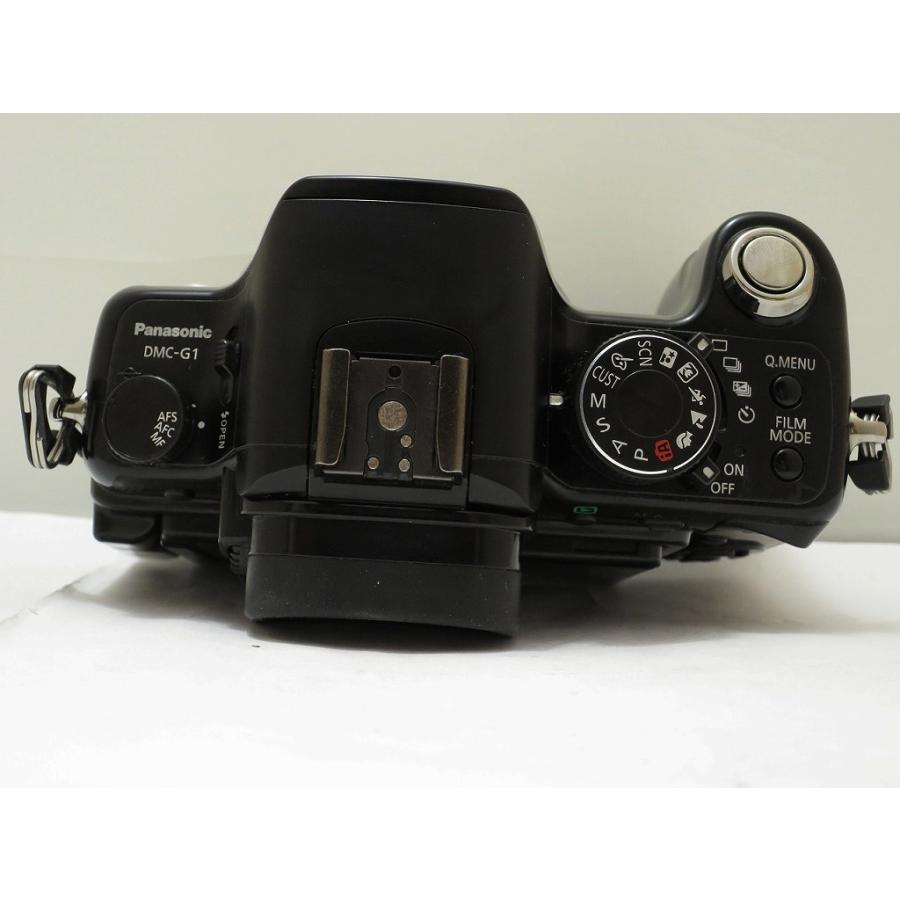 パナソニック Panasonic ミラーレス一眼 LUMIX DMC-G1 : ワットマン