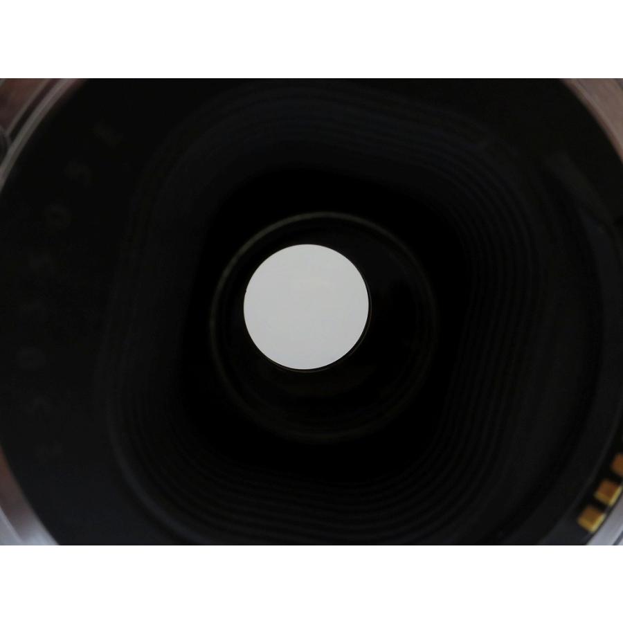 キヤノン Canon EFマウント用ズームレンズ EF 100-300mm F4.5-5.6 USM