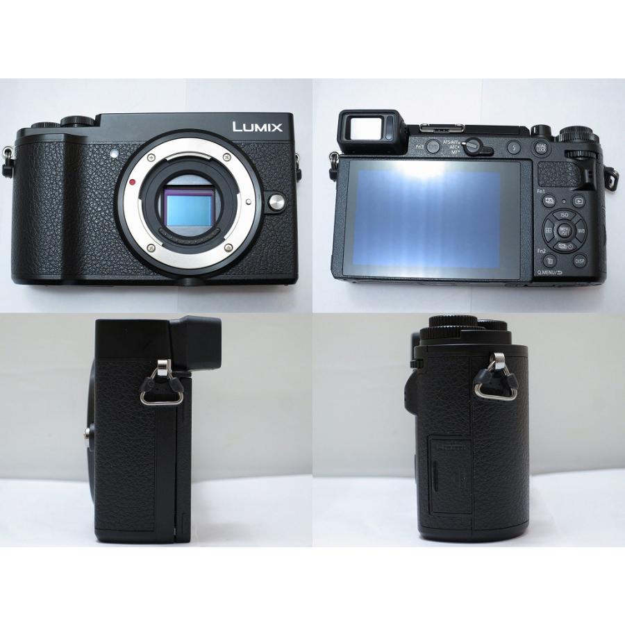 パナソニック Panasonic ミラーレス一眼（レンズキット） LUMIX DC 