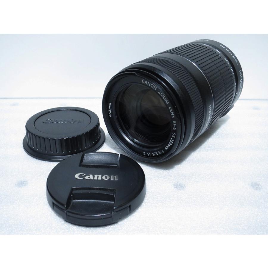キヤノン Canon APS-C専用レンズ EF-S 55-250mm F4-5.6 IS ll