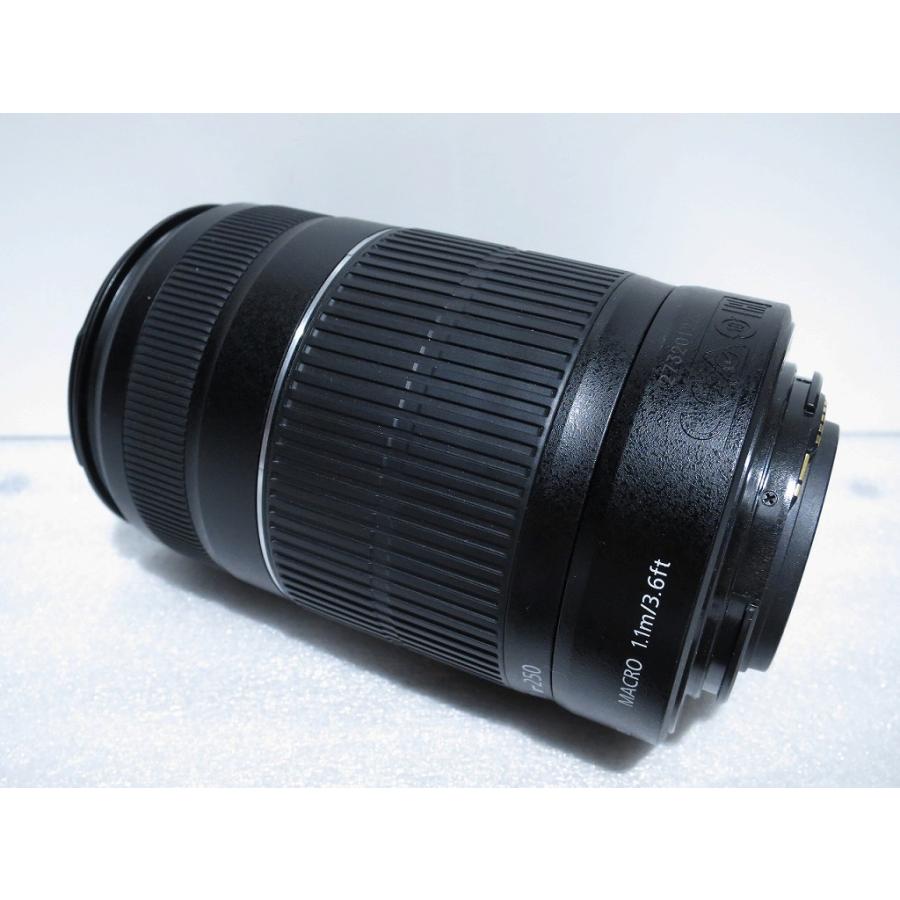 キヤノン Canon APS-C専用レンズ EF-S 55-250mm F4-5.6 IS ll