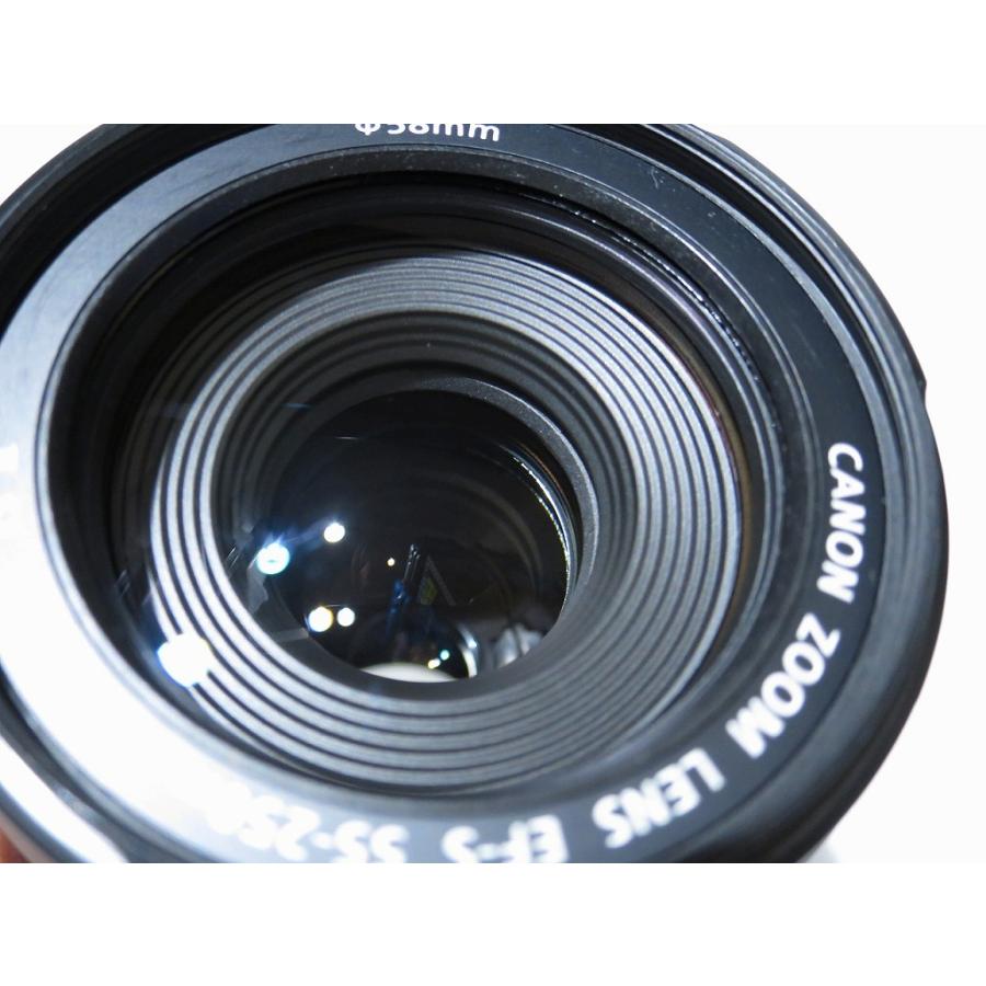 キヤノン Canon APS-C専用レンズ EF-S 55-250mm F4-5.6 IS ll