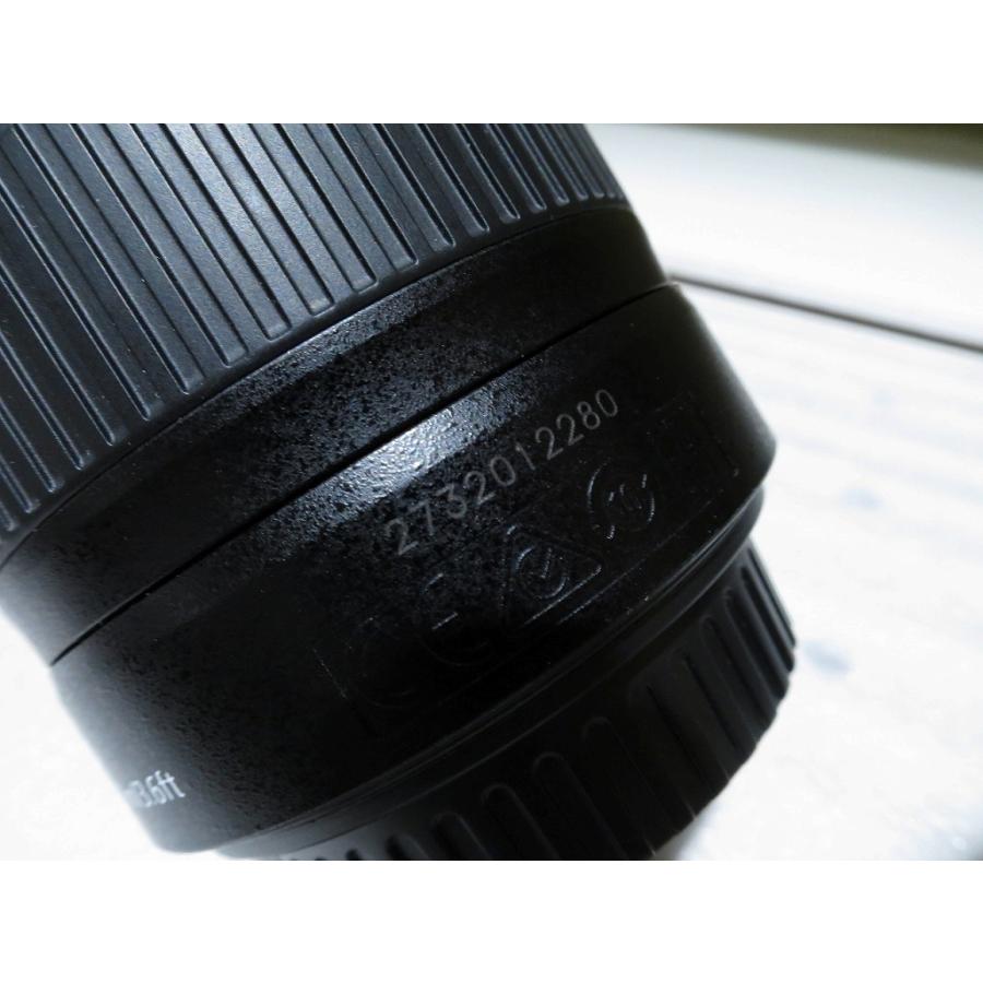 キヤノン Canon APS-C専用レンズ EF-S 55-250mm F4-5.6 IS ll