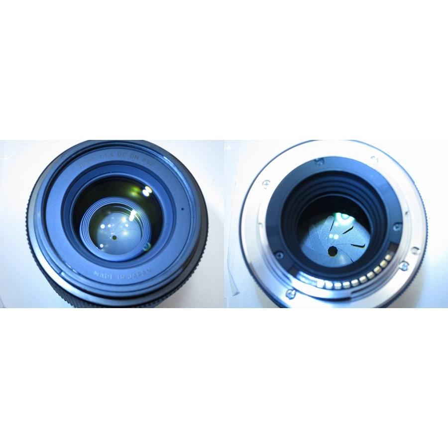 シグマ SIGMA Eマウント用単焦点レンズ 30mm F1.4 DC DN : ワットマン