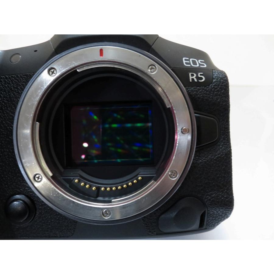 キヤノン Canon ミラーレス一眼 EOS R5