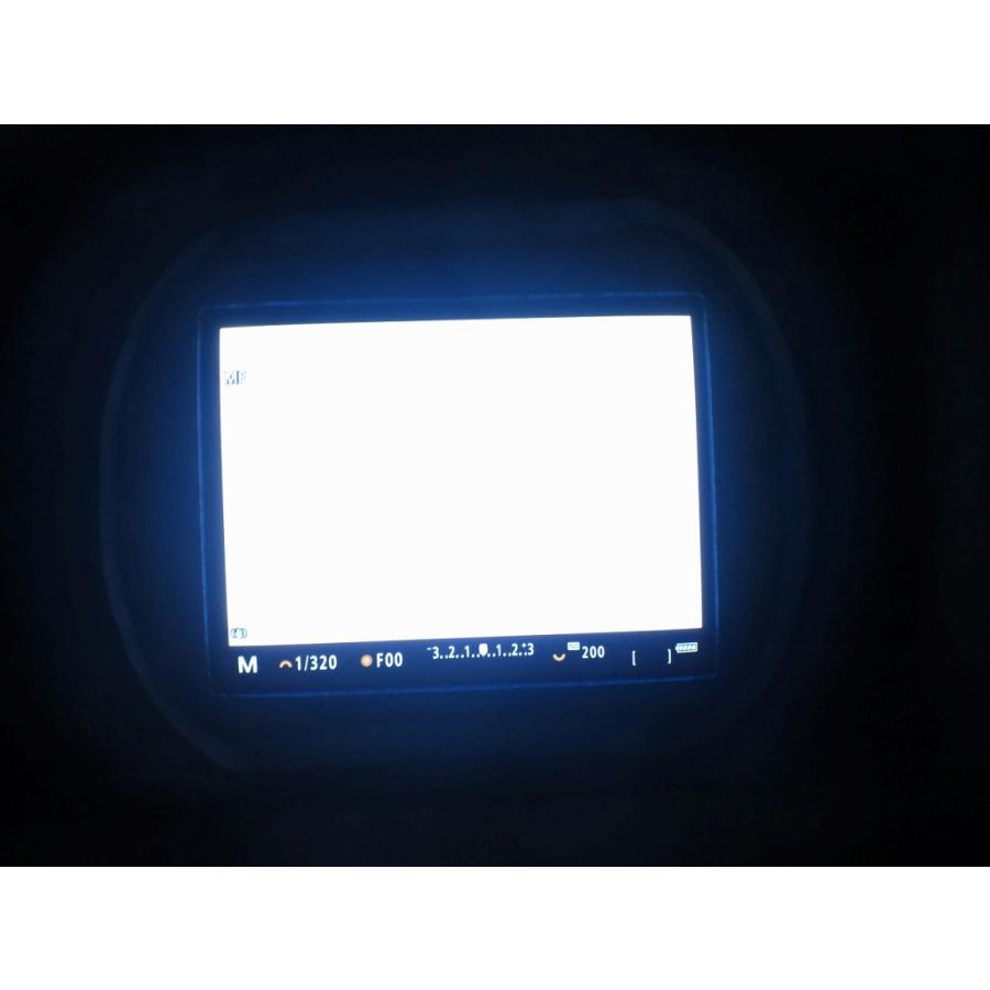 キヤノン Canon ミラーレス一眼 EOS R5