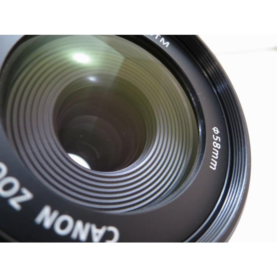 キヤノン Canon APS-C専用ズームレンズ EF-S55-250mm F4-5.6 IS STM
