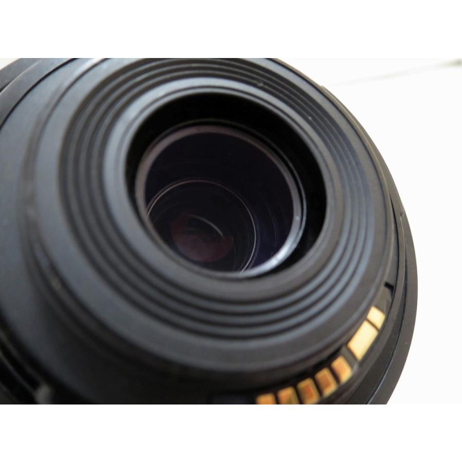 キヤノン Canon APS-C専用ズームレンズ EF-S55-250mm F4-5.6 IS STM