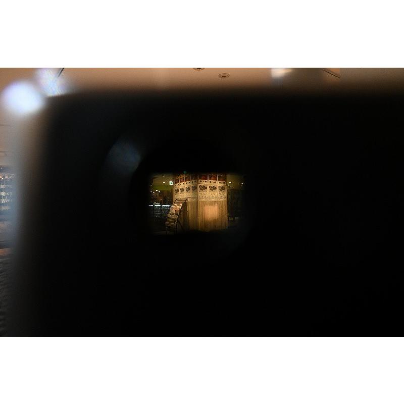 フォクトレンダー Voigtlander コンパクトフィルムカメラ VITESSA