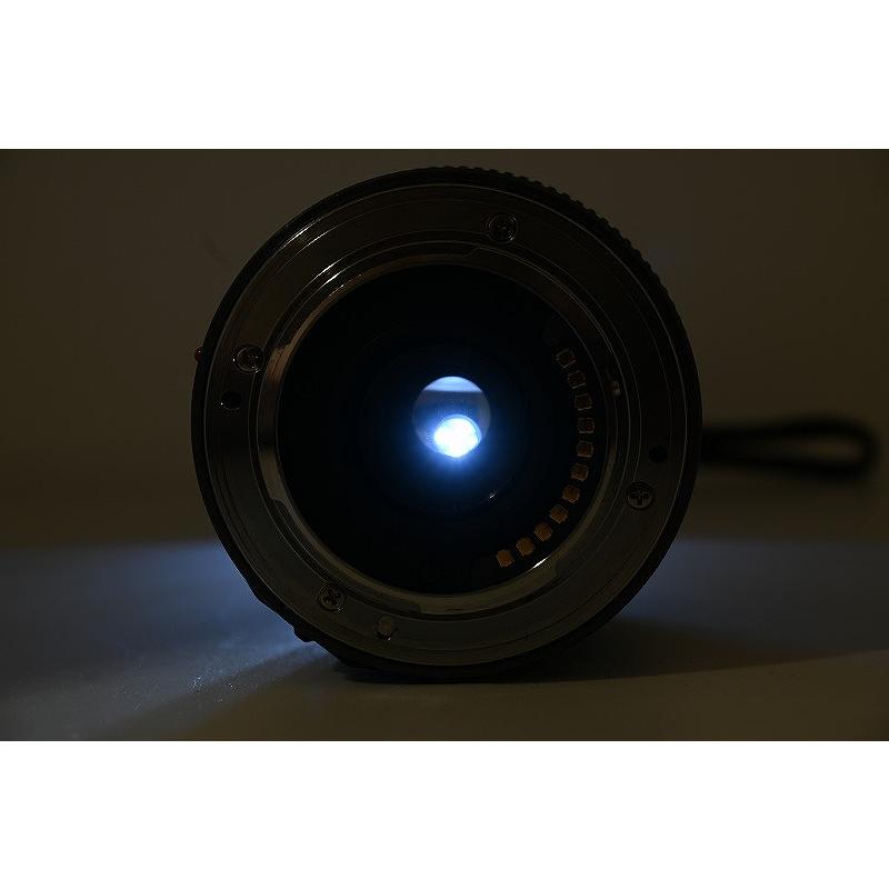 Panasonic LUMIX 14-45mm マイクロフォーサーズ レンズ