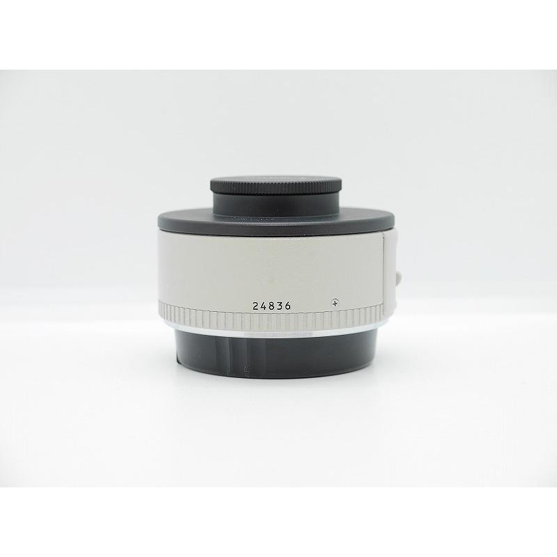 キヤノン Canon エクステンダー EF 1.4× : ワットマン Yahoo